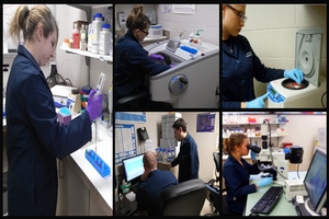 psychopharmacology lab